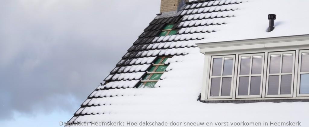 Schade Door Sneeuw En Vorst Heemskerk